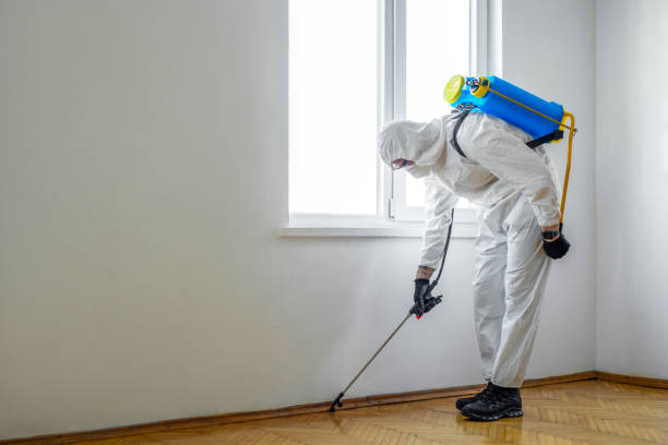 Best Commercial Pest Control  in White Sands, NM